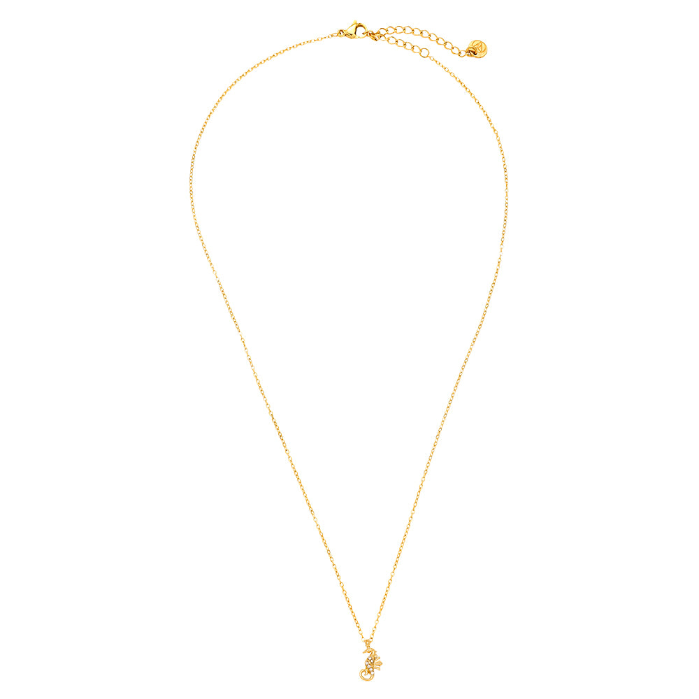 COLLIER HIPPOCAMPE