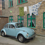 LA COCCINELLE BLEUE