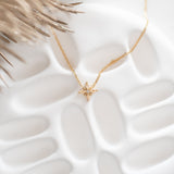 COLLIER STAR