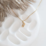 COLLIER HIPPOCAMPE