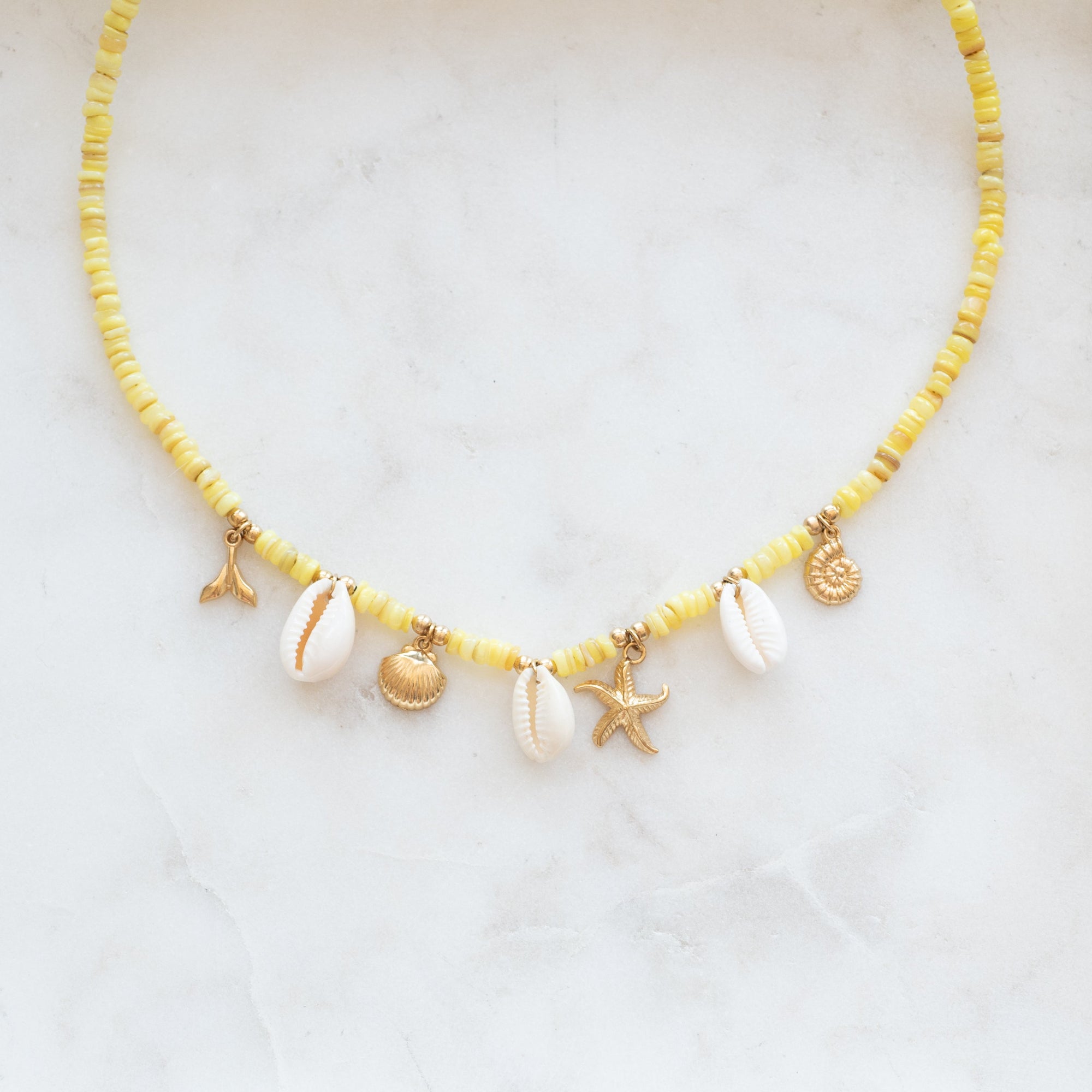 COLLIER SAVANNAH