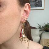 CREOLES CORAIL