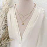 COLLIER WINTER