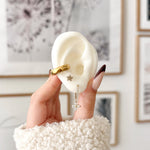 Image de diapositive