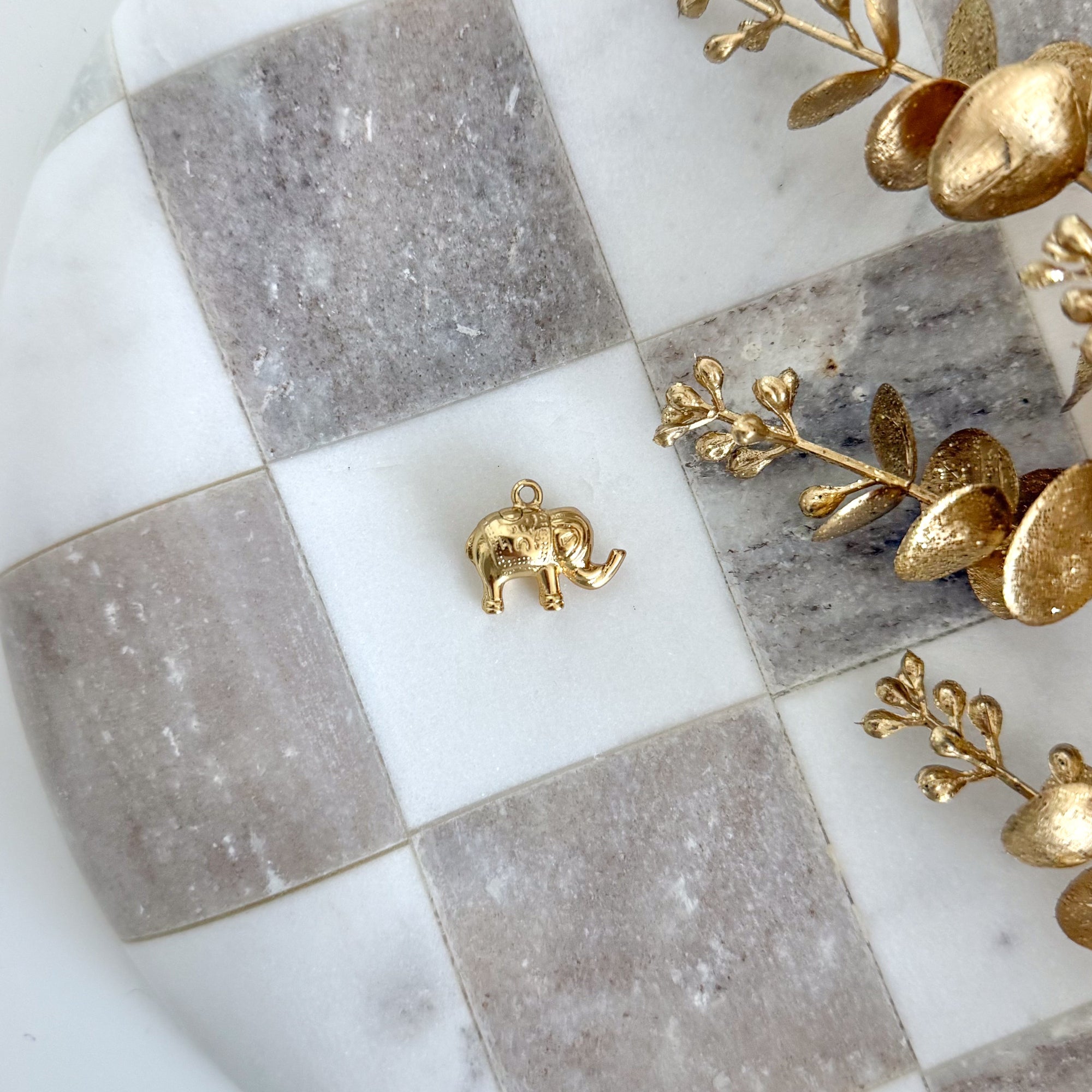 Image de diapositive