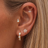 PIERCING CATALEYA
